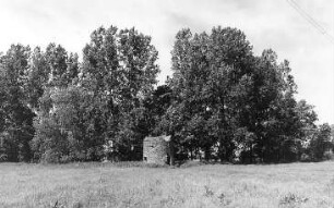 Weißenberg-Maltitz. Holländermühle, Ruine