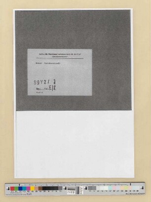 Verschiedene Gewerkschaftsverbände (Verband der Schneider, Schneiderinnen und Wäschearbeiter)