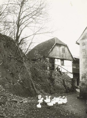 Grimma, Grundmühle : Grimma. Grundmühle im Muldental. Hofzzugang mit Gänseschar