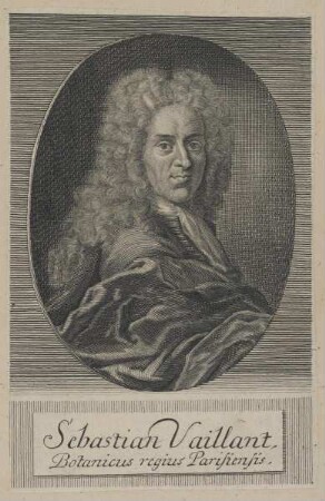 Bildnis des Sebastian Vaillant