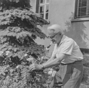 Kretzschmar : Portrait eines Pfeife rauchenden Mannes bei der Rosenpflege