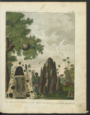 Tafel XV. Die Gebäude der Termes auf der Küste von Guinea [...]