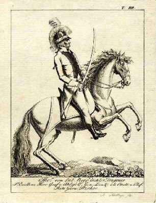 Uniformbild, Offizier der Dragoner der dänischen Armee