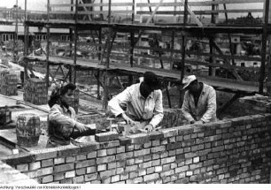 Dresden, Reportage über die Arbeit der freiwilligen Aufbauhelfer, Schüler der Prof.-Dr.-Zeigner-Schule Dresden, November 1953