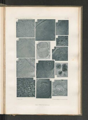 1c