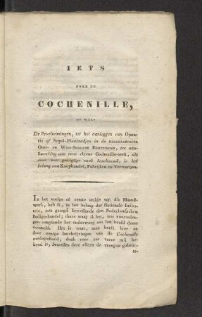 Iets over de Cochenille