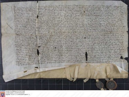 Hans v. Dörnberg, Hofmeister, Johann Schenk, Marschall des Landgrafen Heinrich von Hessen, Volprecht Schenk zu Schweinsberg, Bartholomeus v. Hutte...