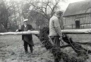 Maibaum in Spohla : Gesellschaftliche Volkskultur - Frühling. Ort: Spale / Spohla. Aufstellen des Maibaumes