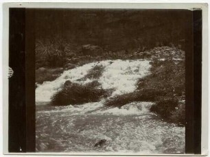 el-fauwar
