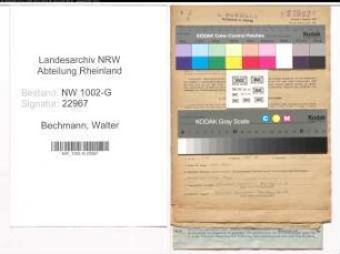 Entnazifizierung Walter Bechmann, geb. 29.04.1910 (Garphiker)
