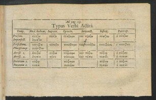 Typus Verbi Activi