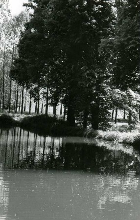 Triebischtal-Semmelsberg. Teich bei der Preiskermühle