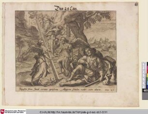 [Der Traum des Jakob; Jacob's Dream]