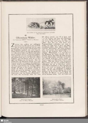 III. Olbernhaus Wälder
