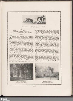 III. Olbernhaus Wälder