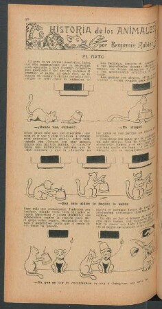 El gato : Historia de los animales