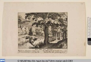 Fluß im Wald mit Ikarus