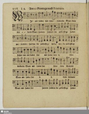 XVII. Am 16. Sontage nach Trinitatis: Wir haben hier keine bleibende Statt