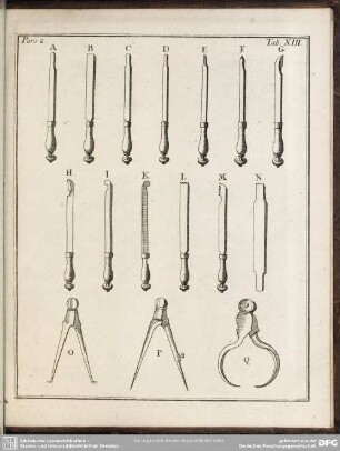 Pars. 2. Tab. XIII.