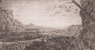 Landschaft mit Knüppelgeländer
