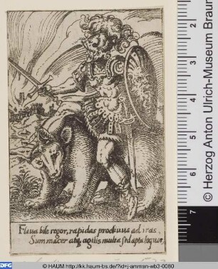 [Das cholerische Temperament; The Choleric Temperament]