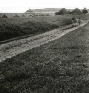 Dorf, Gager