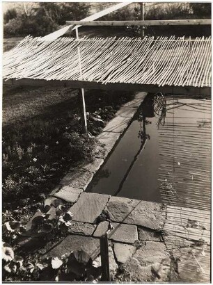 Deutsche Siedlungsausstellung »Heim und Garten« 1934, München-Ramersdorf: Beschattetes Wasserbecken