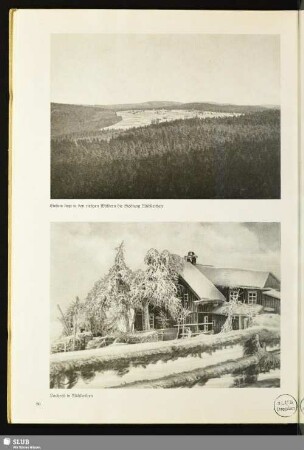 Rauhreif in Mühlleithen
