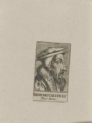 Bildnis des Iohannes Calvinus