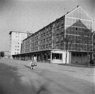 Dresden-Striesen, Borsbergstraße 24-32. 5-geschossige Wohnhäuser und Appartementhaus (1955-1958; H. Schneider, W. Hänsch, G. Kintzer, G. Dettmar)