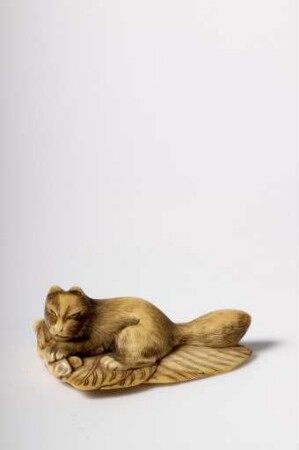 Fuchs