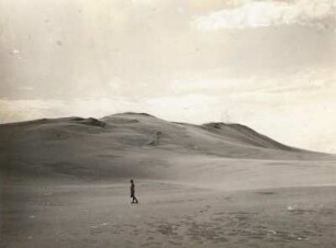 Kurische Nehrung. Dünen bei Phillkoppen