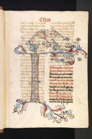 I-Initiale mit Raubvogel und Rankenwerk