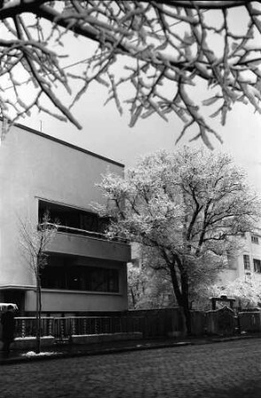 Bukarest: Villen in der [Straße] Dr. Lister, mit schön verschneitem Baum