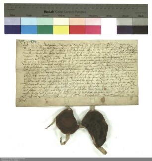 Propst, Dechant und der Konvent von Neuenberg leihen Nikolaus Jahn aus Dorfborn einen Wiesflecken in der Eichwiese