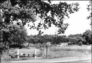 Havelse, Waldstraße, Schrebergärten