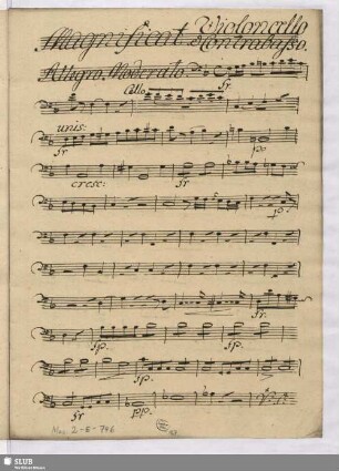 Violoncello e Contrabasso