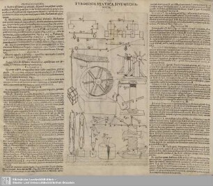 Tyrocinia Statica sive Mechanica
