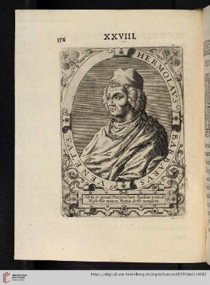 XXVIII. Hermolaus Barbarus