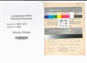 Entnazifizierung Elfriede Schmitz , geb. 12.05.1899 (Lehrerin)