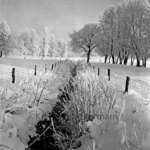 Sehmsdorfer Straße: Bach: Zaunpfähle an Uferböschung: rechts und hinten Bäume: Winter