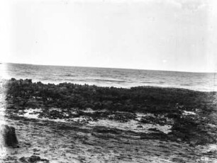 Strand : Blick auf einen Strand, der mit Büschen bewachsen ist
