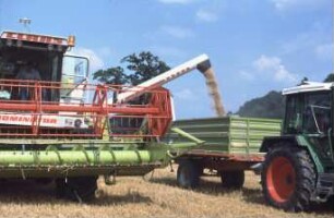 Fotografie: Erntetechnik, Mähdrescher selbstfahrend, Korntank, Be- und Entladen
