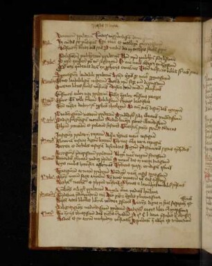 Quaestiones disputatae de psalterio Mariae virginis. Jhesus Maria.
