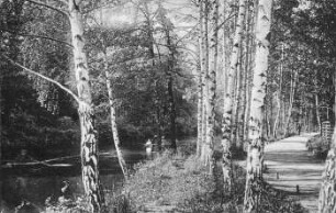 Leipzig: Partie mit der Pleisse am Waldweg nach Connewitz