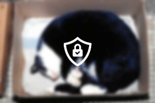 Trittau: Danziger Straße: Kater [Name maskiert]