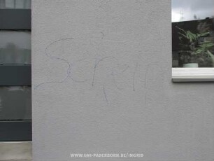Schein