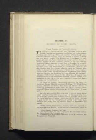 Chapter XV. Diseases of cacao plants.