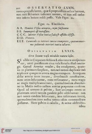 Observatio LXXIX