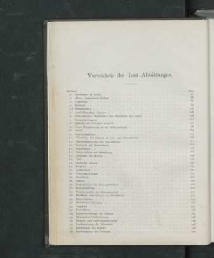 Verzeichnis der Text-Abbildungen